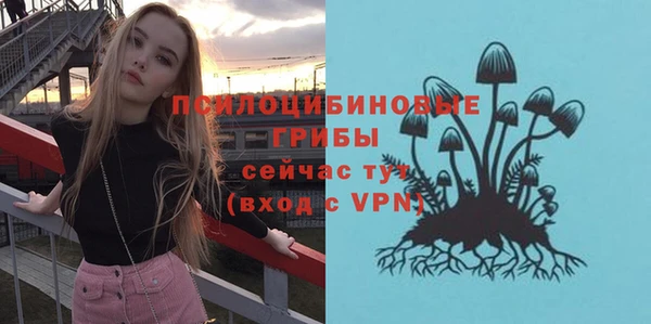 ешки Дмитриев