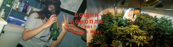 ешки Дмитриев