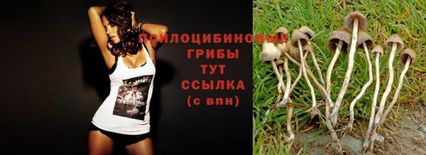 ешки Дмитриев