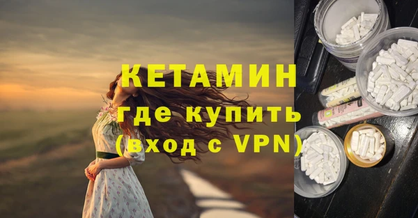 прущие грибы Туринск